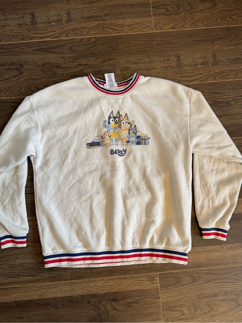 Rare Bluey Family Camping Trip Crewneck Sweatshirt
